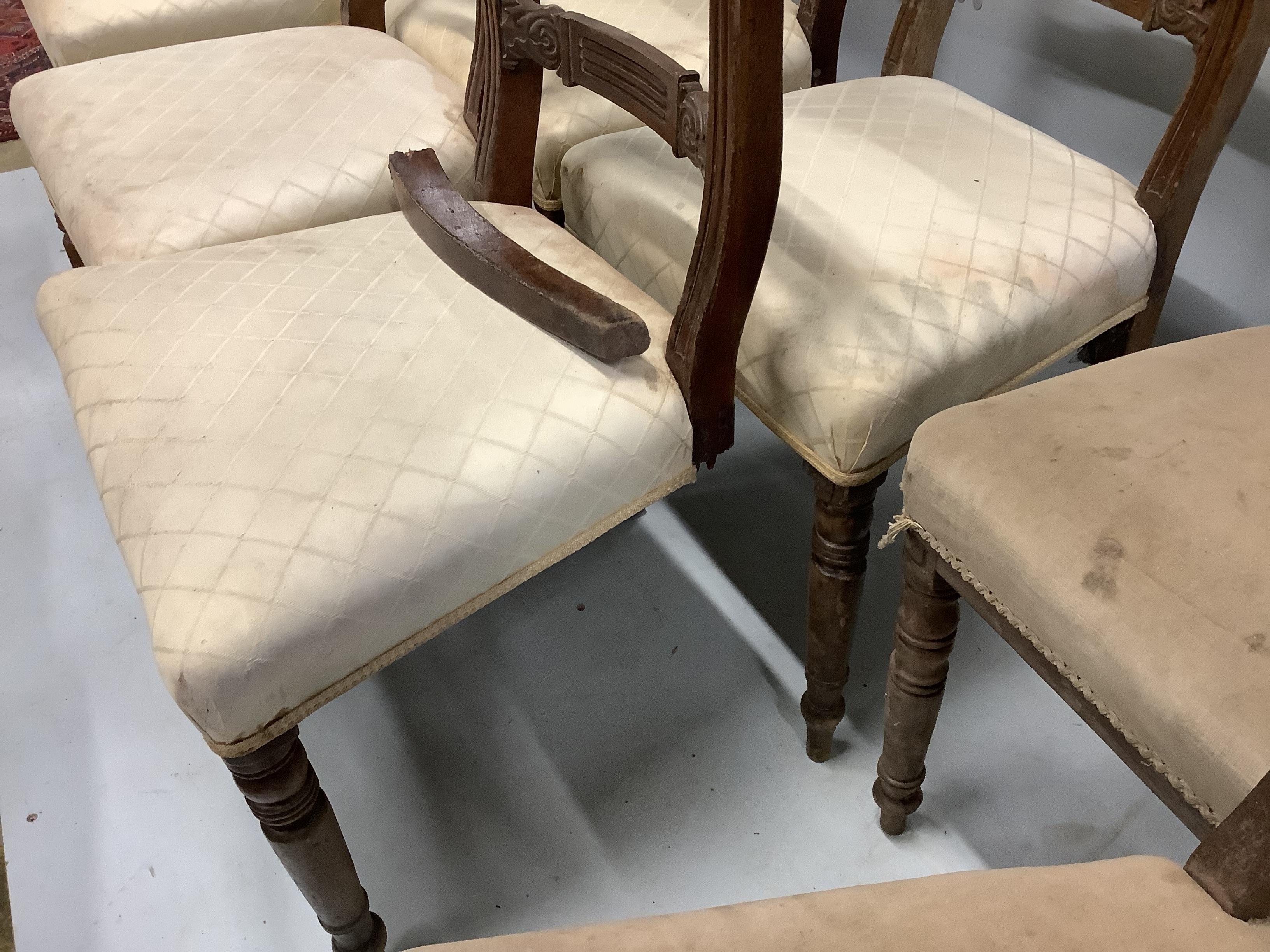 Fifteen various Regency mahogany dining chairs (some a.f.)